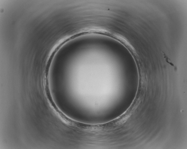 X0000080201040200612081422