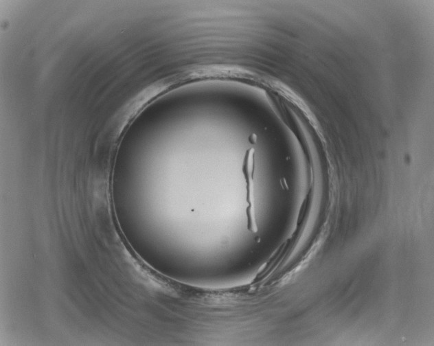 X0000080201041200612081422