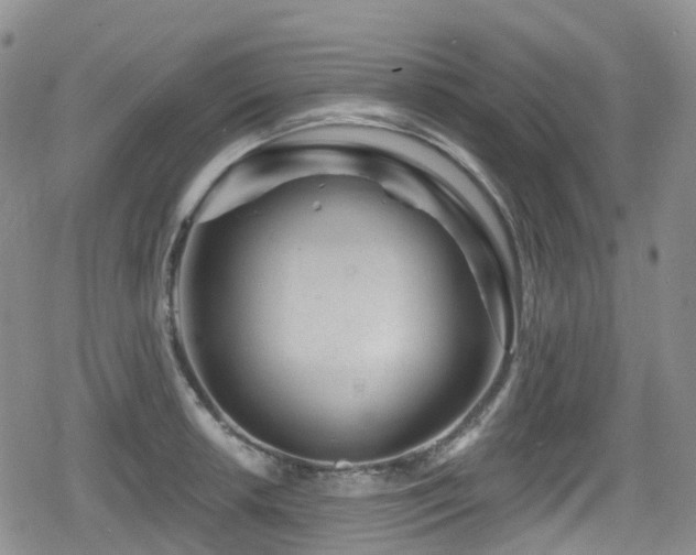 X0000080201042200612081422