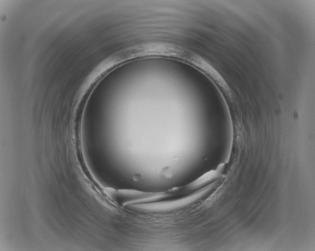 X0000080201043200612081422