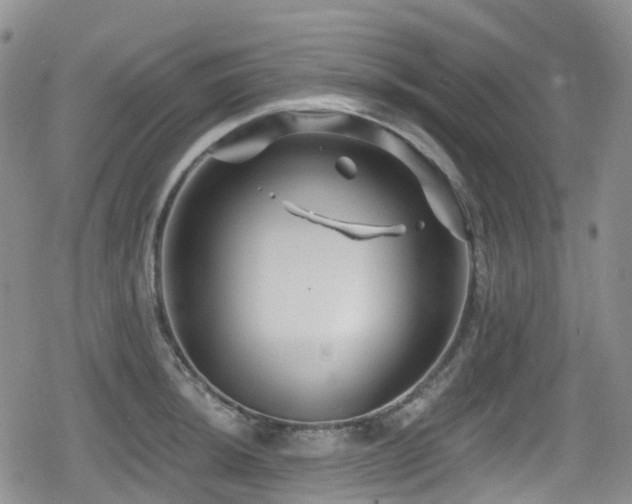 X0000080201044200612081422