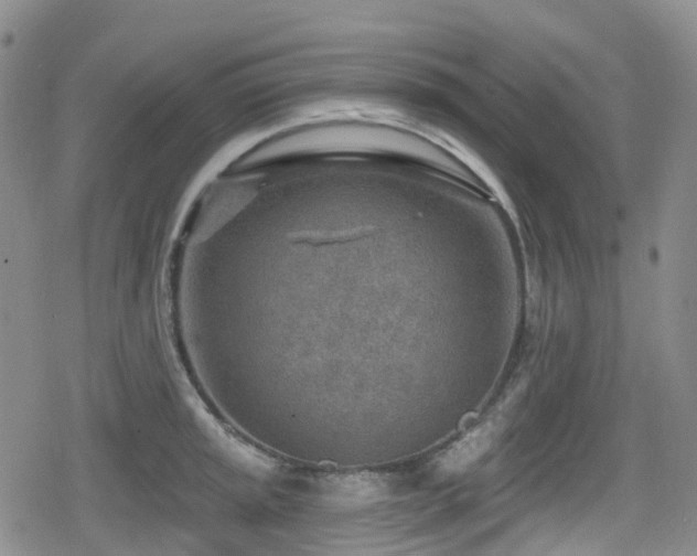 X0000080201045200612081422