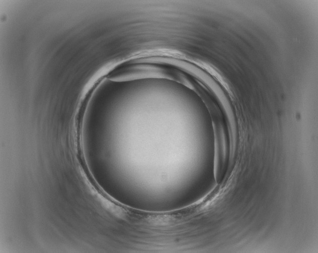 X0000080201046200612081422