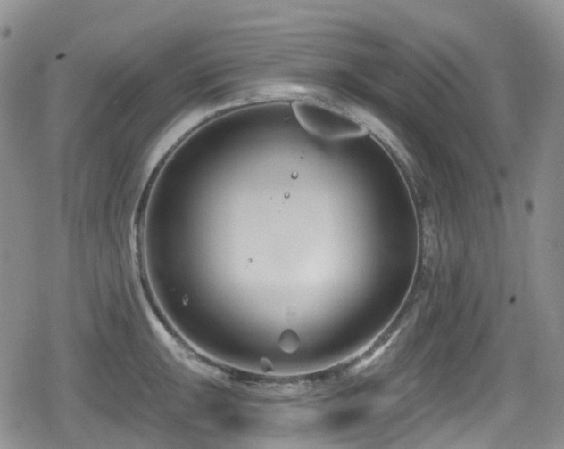 X0000080201047200612081422