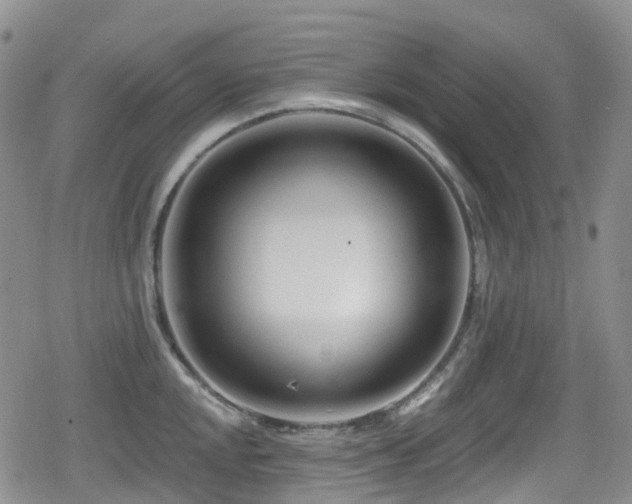 X0000080201048200612081422