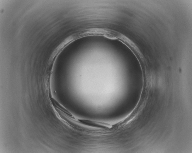 X0000080201049200612081422