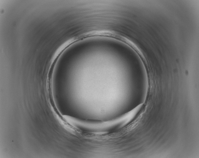 X0000080201050200612081422