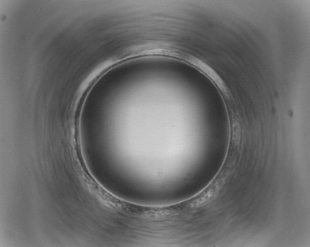 X0000080201051200612081422