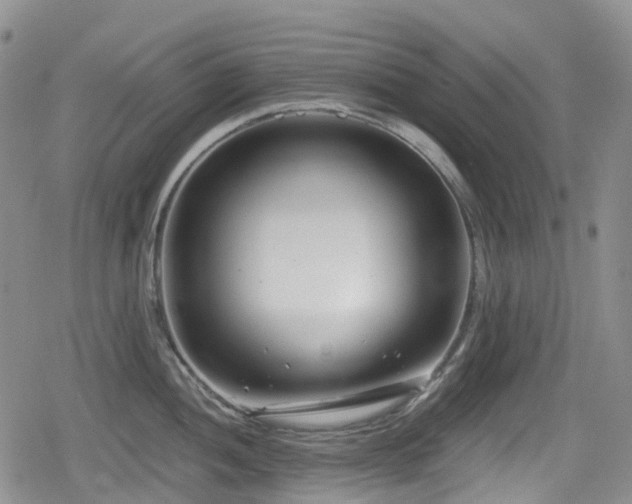 X0000080201052200612081422