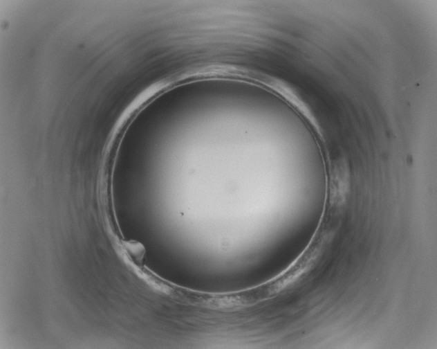 X0000080201053200612081422