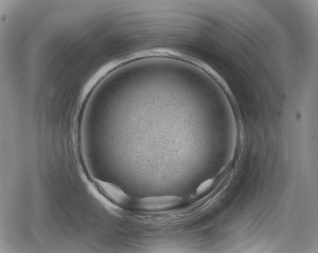 X0000080201054200612081422