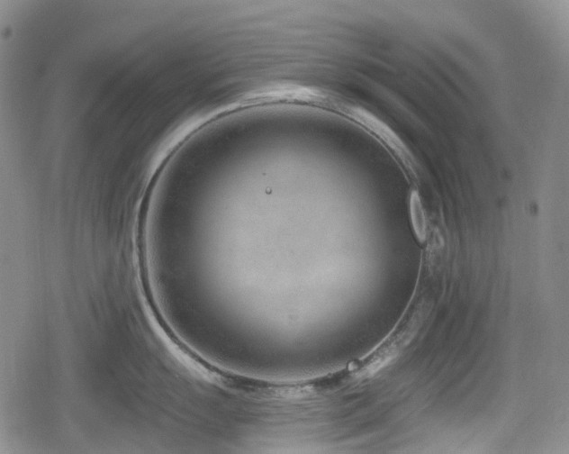 X0000080201055200612081422