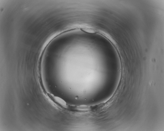 X0000080201056200612081422