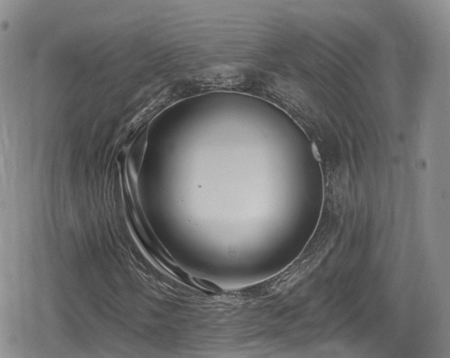 X0000080201058200612081422