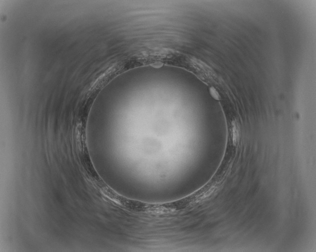 X0000080201059200612081422