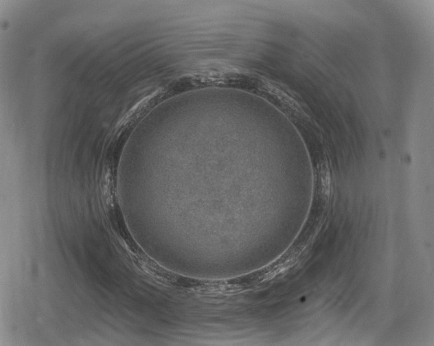 X0000080201060200612081422