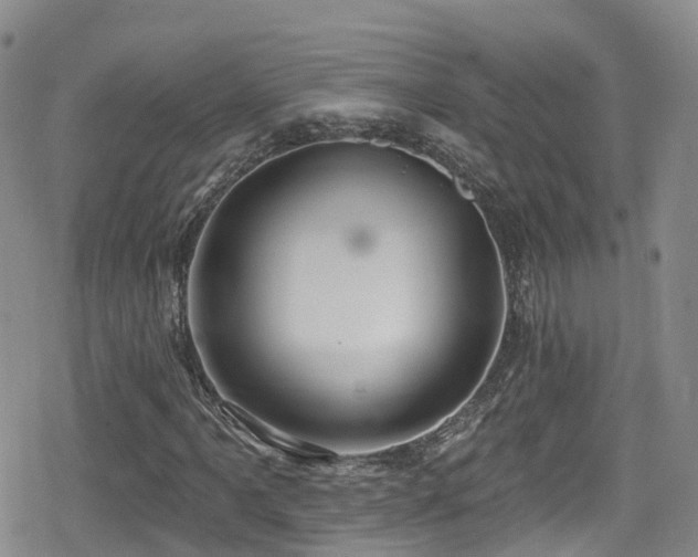 X0000080201061200612081422