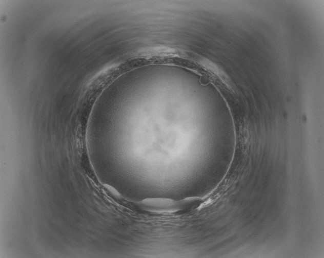 X0000080201063200612081422