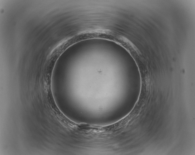 X0000080201064200612081422