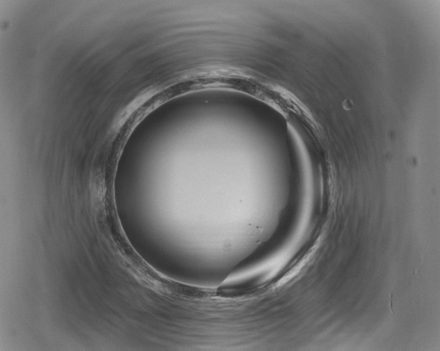 X0000080201065200612081421