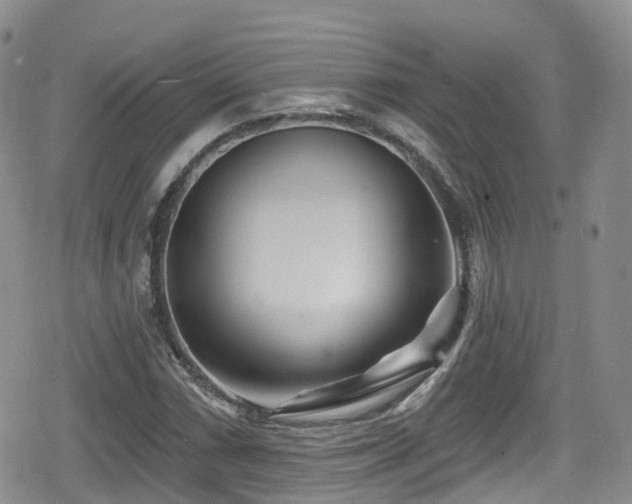 X0000080201066200612081421