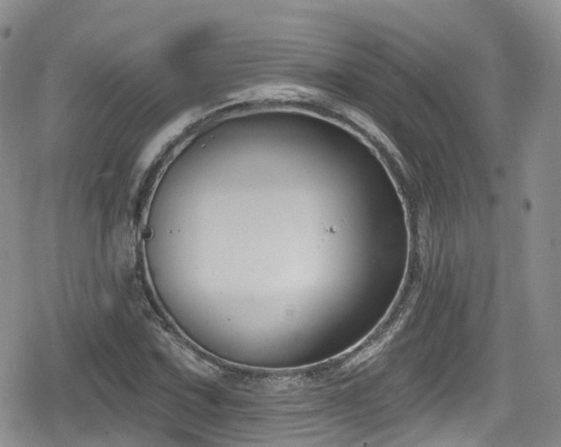 X0000080201067200612081421