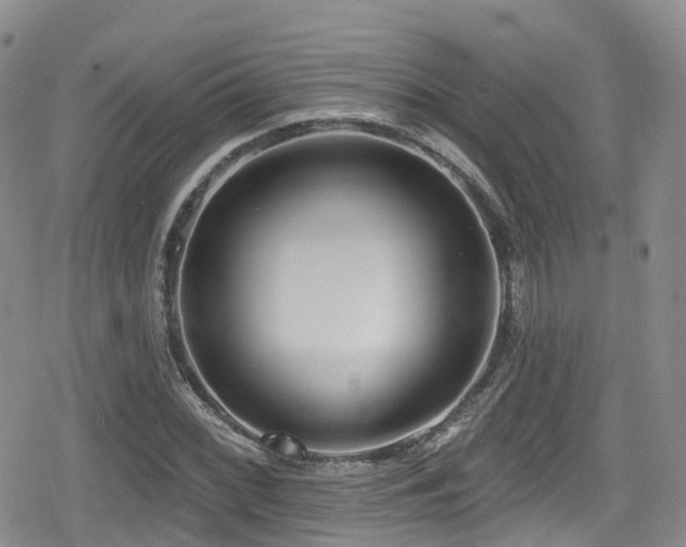 X0000080201068200612081421