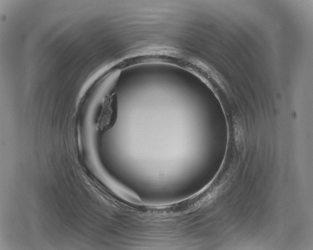 X0000080201069200612081421