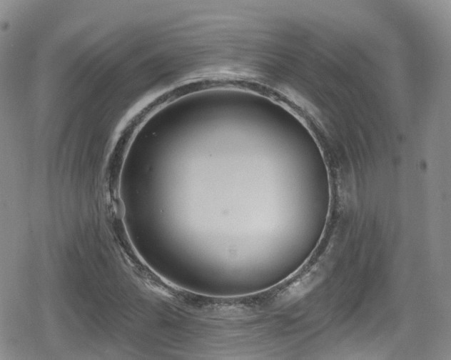 X0000080201070200612081421