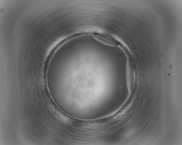 X0000080201071200612081421