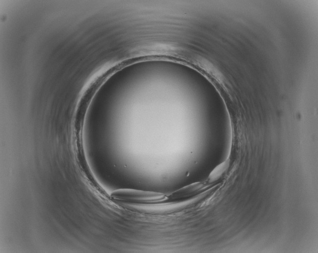 X0000080201072200612081421