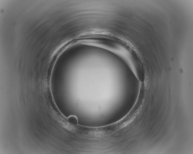 X0000080201073200612081421