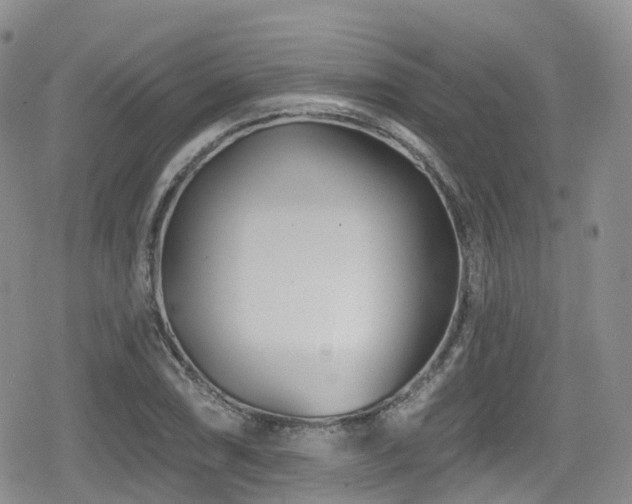 X0000080201074200612081421