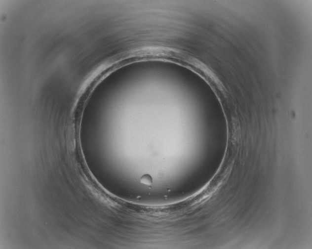 X0000080201075200612081421