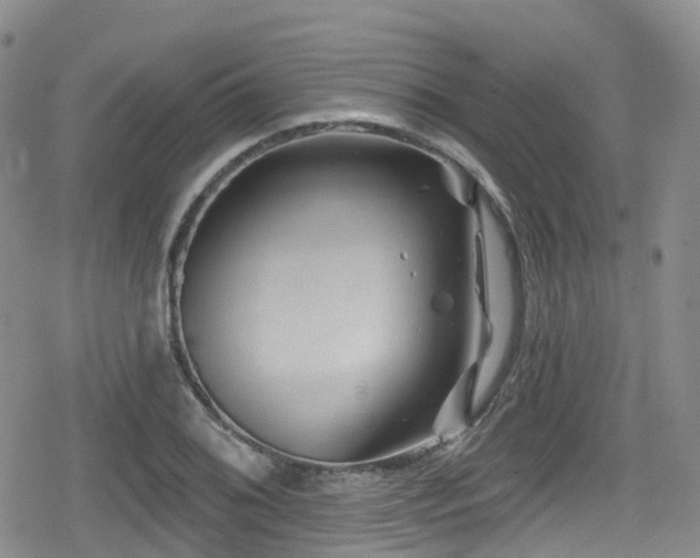 X0000080201076200612081421