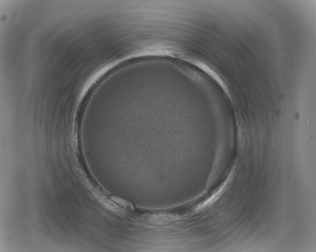 X0000080201077200612081421