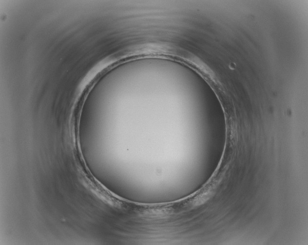 X0000080201078200612081421