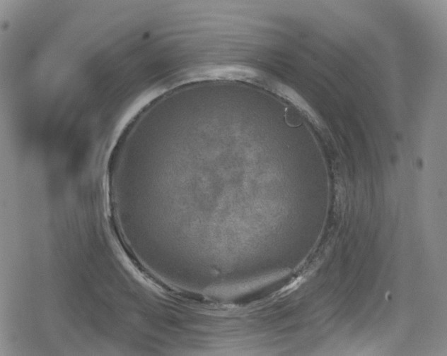 X0000080201079200612081421