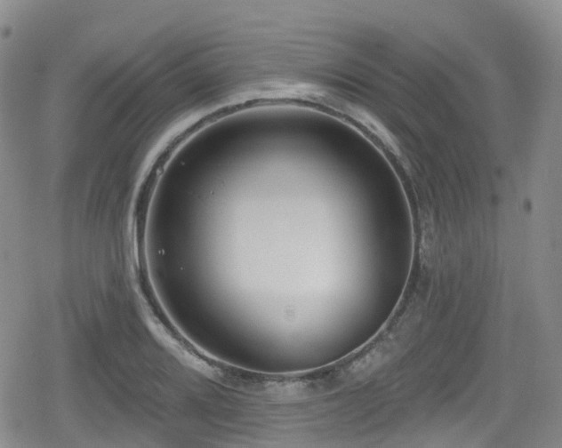 X0000080201080200612081421