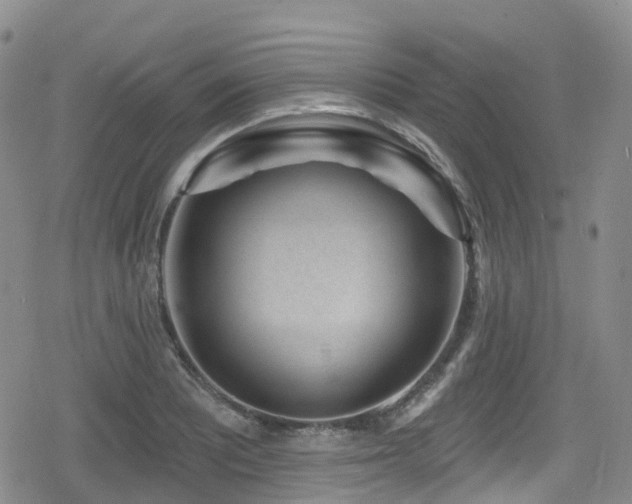 X0000080201081200612081421