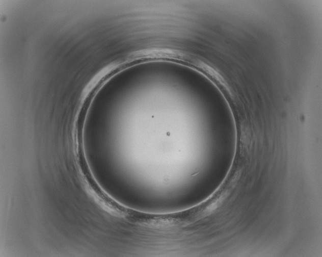 X0000080201082200612081421