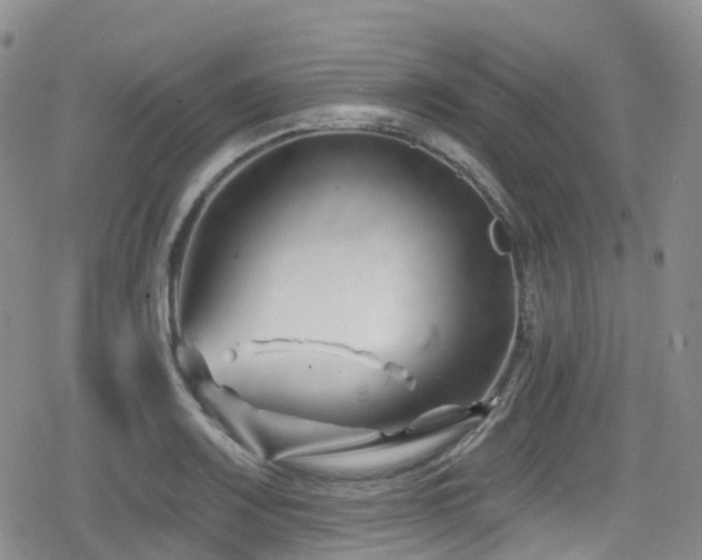 X0000080201083200612081421