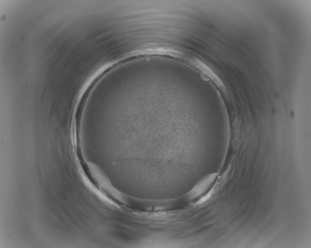 X0000080201084200612081421