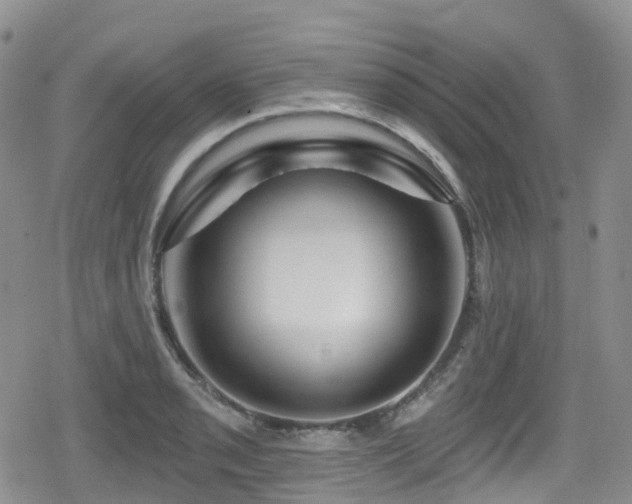 X0000080201085200612081421