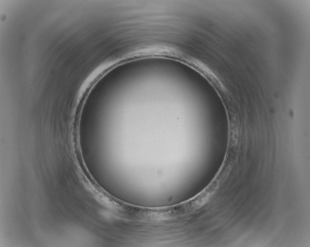 X0000080201086200612081421