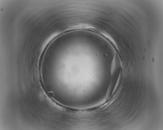 X0000080201087200612081421