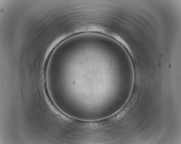 X0000080201088200612081421