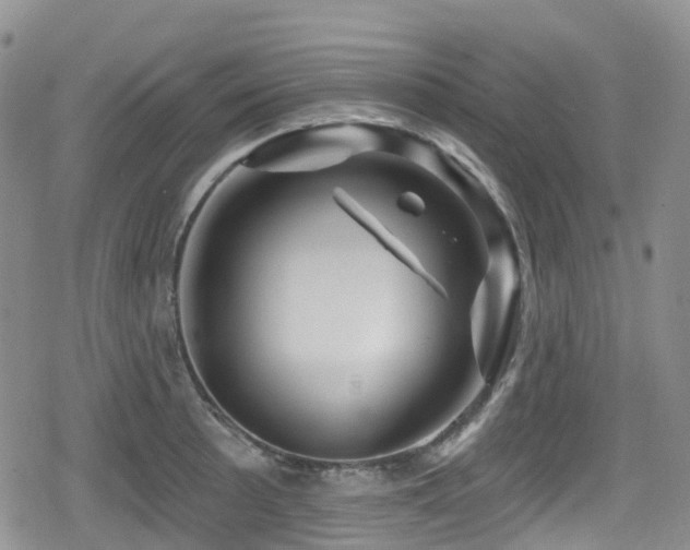 X0000080201089200612081421