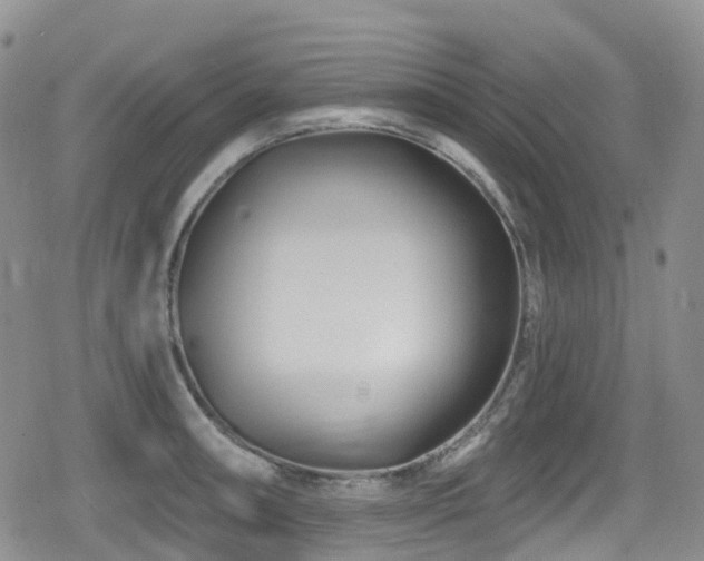 X0000080201090200612081421