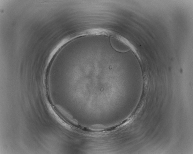 X0000080201091200612081421